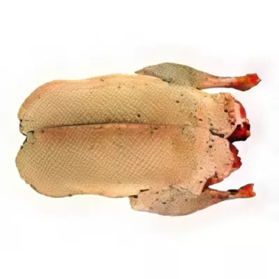 Headless hunted mallard duck