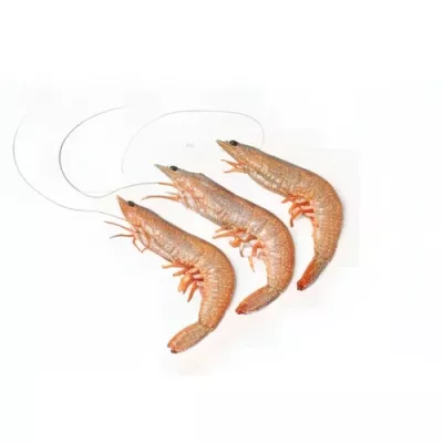 Monodon Tiger Prawn "II"