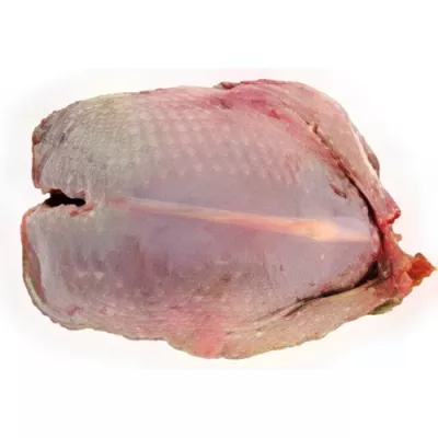 Headless wood-pigeon