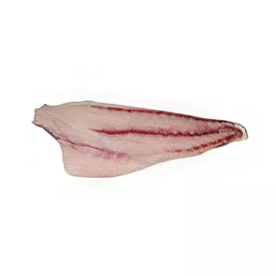 Shi Drum Fillet