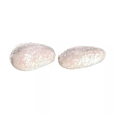 Almonds coated with gianduja and icing sugar