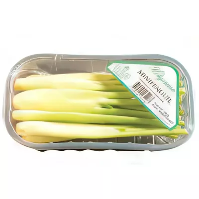 Baby fennel (Foeniculum vulgare)