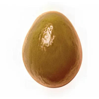 Almonds coated in Dulcey chocolate