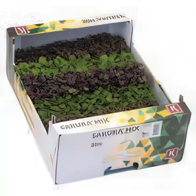 Sakura single-variety cress selection