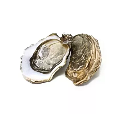 Super Spéciale Utah Beach Style Oyster "2"