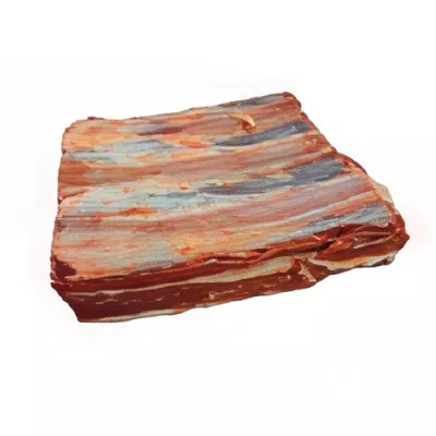 Black Angus short ribs (brisket with bone)