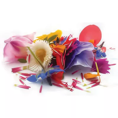 Edible flowers mix