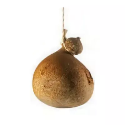 Caciocavallo Irpino Cave-aged