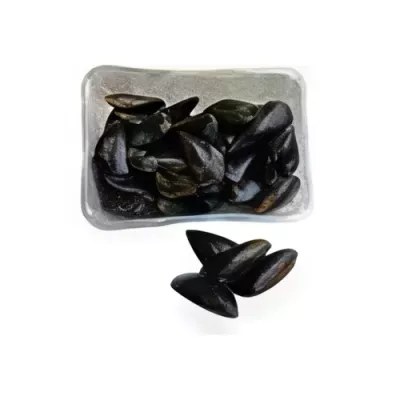 Mussel