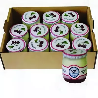 Raspberry Yogurt Organic