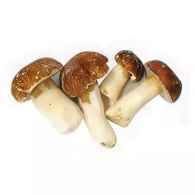 Whole porcini mushrooms, extra grade (Boletus edulis)