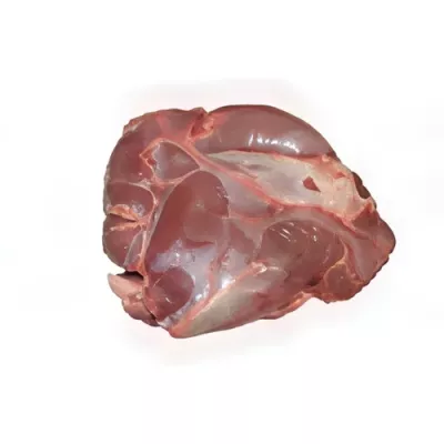 deboned shoulder of hunted deer