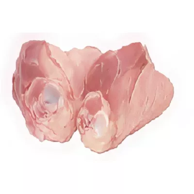 Hind shank of milk-fed piglet