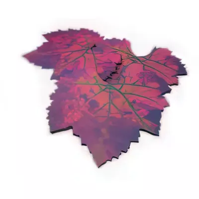 Vine leaves in food-grade paper