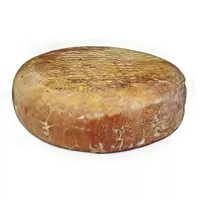 Pyrénées Brebis
