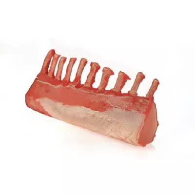 10-rib Frenched rack of hunted wild boar