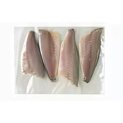 Sea Bass Fillet