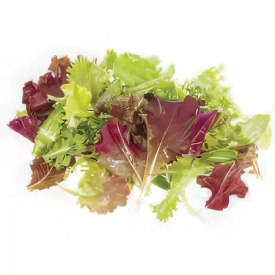 Mixed aromatic leaves selection