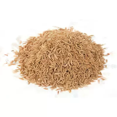Organic cumin (Cuminum cyminum)