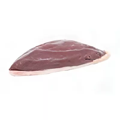 Young duck breast