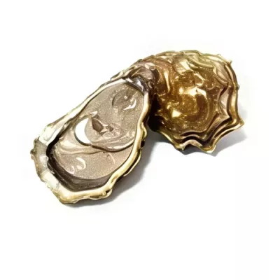 Fine Brittany Oyster "4"