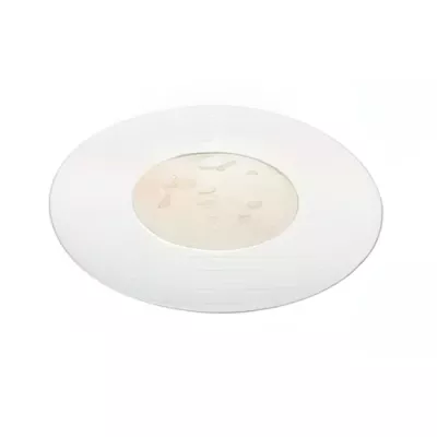 Porcupine Langoustine Carpaccio