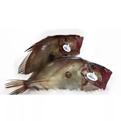 John Dory