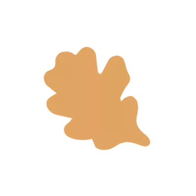 Dulcey 35% chocolate oak leaf