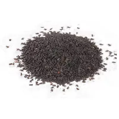 Organic black sesame seeds (Sesamum indicum)