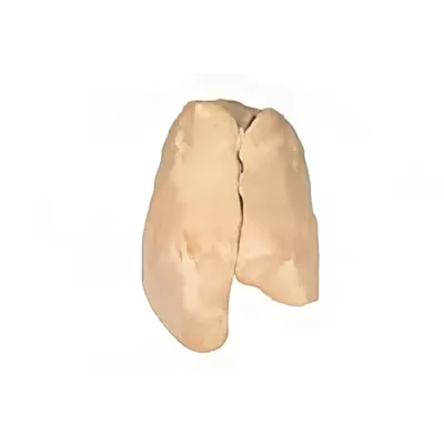 Extra quality goose foie gras