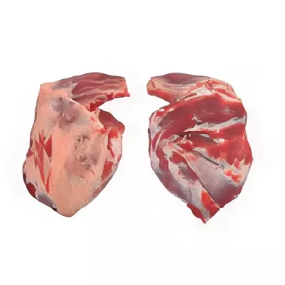 Shoulder with bone of IGP Lamb