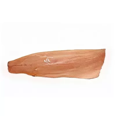 Farmed Alpine Arctic Char Fillet