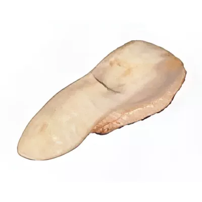 Veal tongue