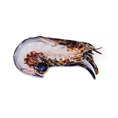 European Blue Lobster Half SPLIT