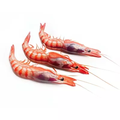 Violet Prawn "II"