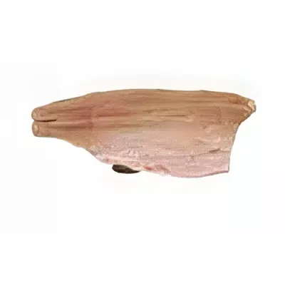 Farmed Lake Trout Fillet