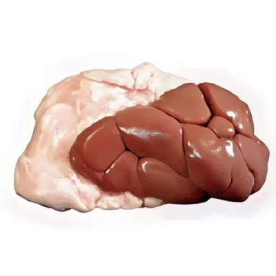 Veal kidney with fat