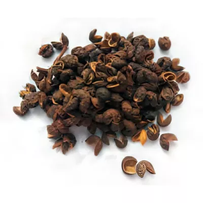 Organic Nepal Timut pepper (Zanthoxylum armatum)