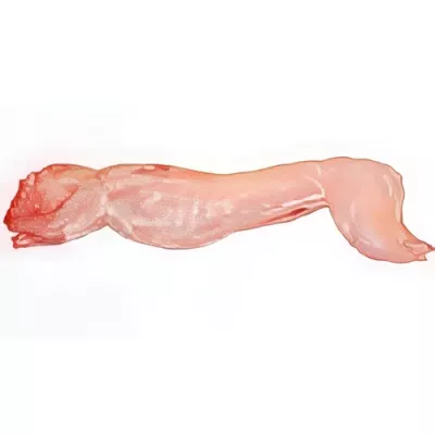 Deboned rabbit
