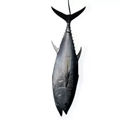 Wild-caught Mediterranean Bluefin Tuna