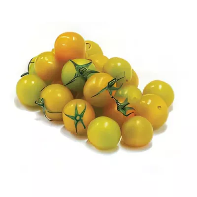 Yellow cherry tomato