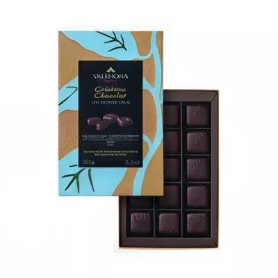 Assortment of 15 dark chocolate pralines