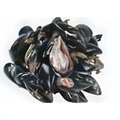 Wild Mussel