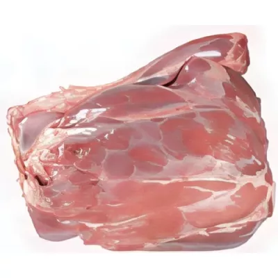 Leg with bone of hunted deer