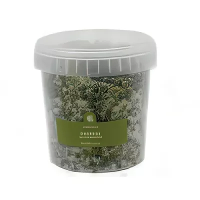 Medium capers in sea salt (Capparis spinosa)