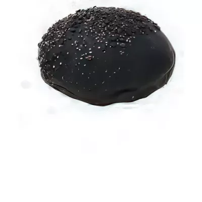 Mini black burger buns