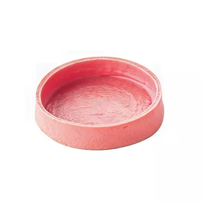 Large sweet strawberry round tart shell