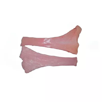 Goose neck's skin
