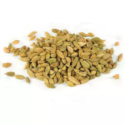 Organic green cardamom (Elettaria cardamomum)