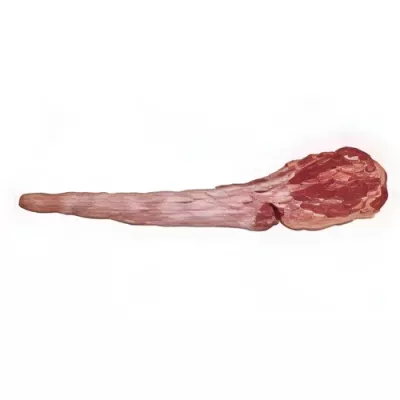Beef tail